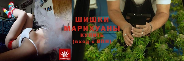 стаф Горняк
