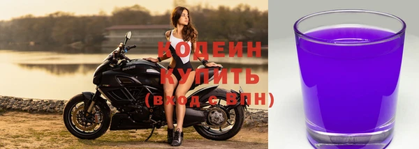 стаф Горняк