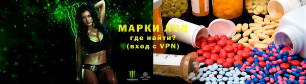 стаф Горняк
