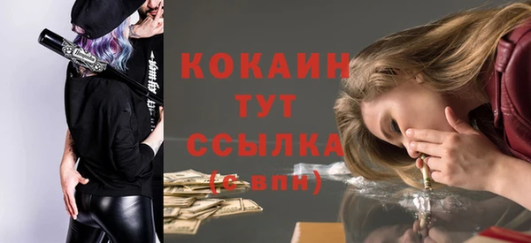 стаф Горняк