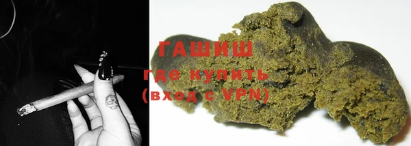 стаф Горняк