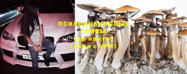 стаф Горняк