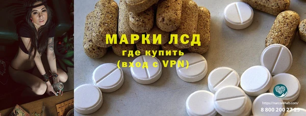 стаф Горняк