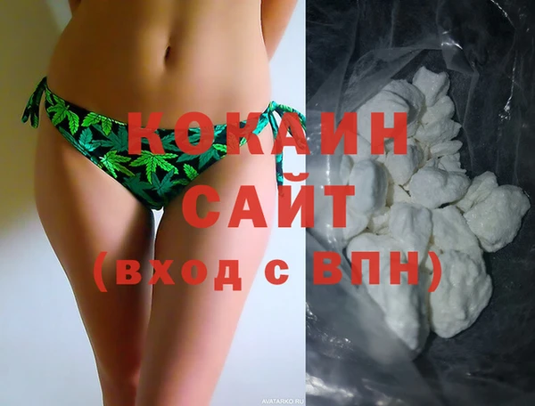 стаф Горняк