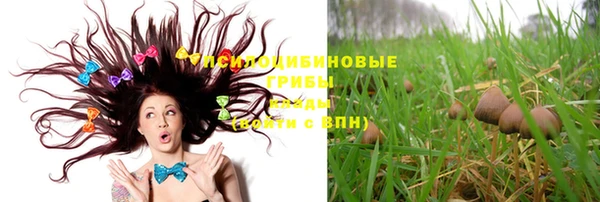 МДПВ Горнозаводск