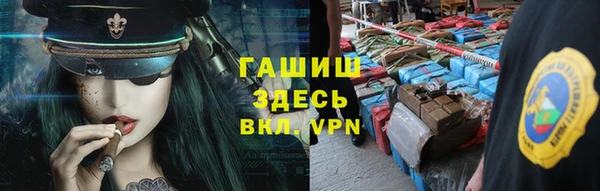 стаф Горняк