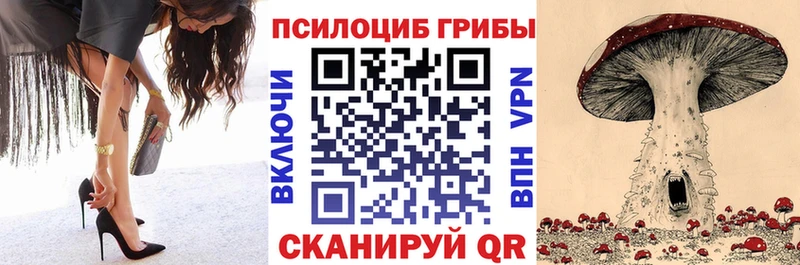 Галлюциногенные грибы Psilocybe Азов